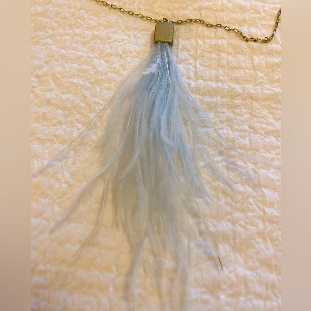 Blue feather necklace.